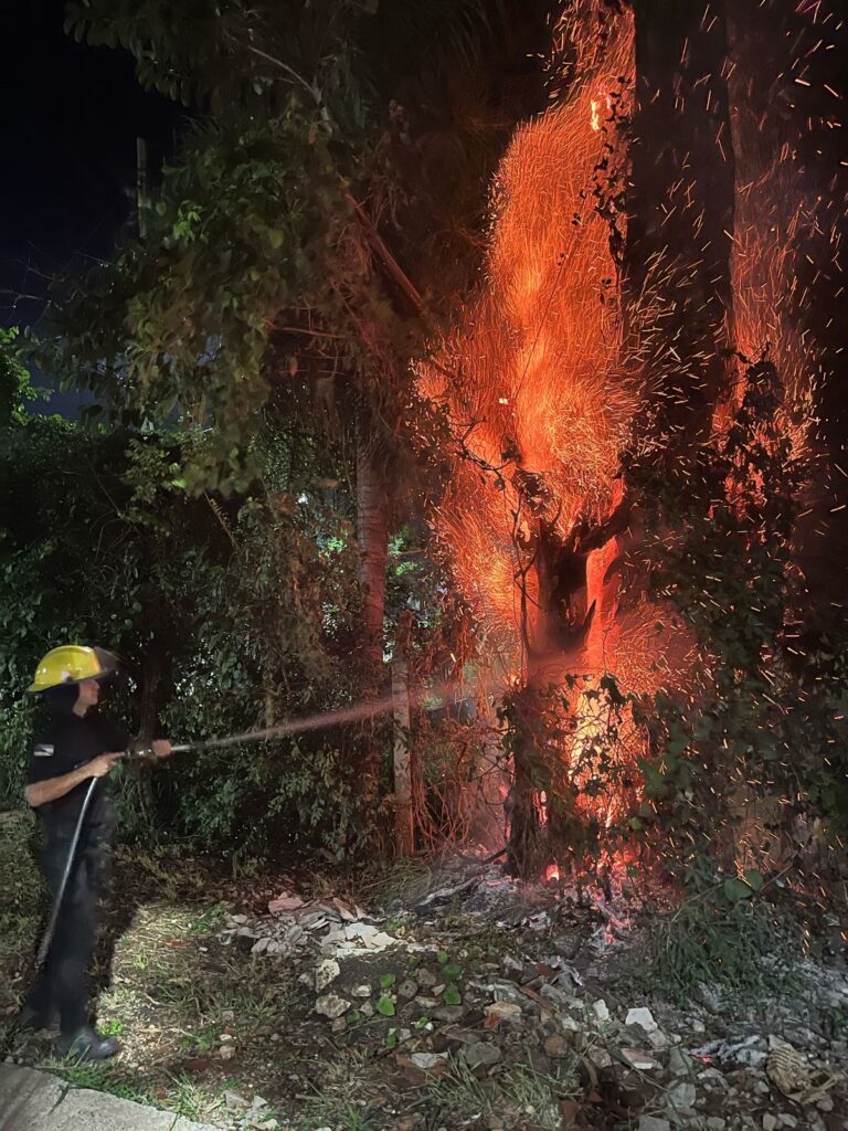 Con la moderna flota de vehículos de acción rápida bomberos extinguieron incendios en Posadas Con la moderna flota de vehículos de acción rápida bomberos extinguieron incendios en Posadas imagen-2