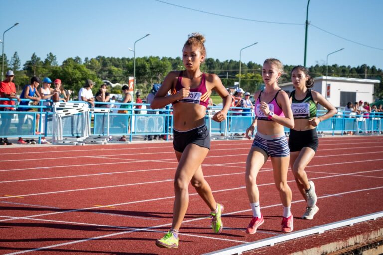 Atletismo: Campeonato Provincial de Atletismo en el CePARD imagen-19