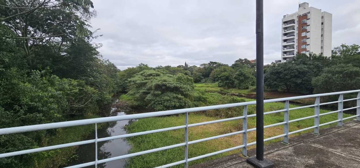 Restauración del Arroyo Itá: Tesis sobre su evolución, los efectos de la intervención humana y desafíos para convertirlo en un pulmón verde imagen-12