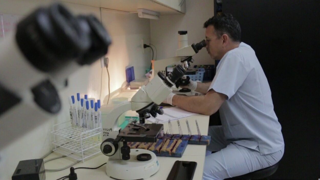 El Laboratorio Central de Misiones se posiciona como referente de alta complejidad y atiende casi mil pacientes diarios imagen-2