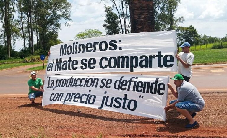 Misiones busca soluciones para la yerba mate y convoca a una Mesa Yerbatera Permanente imagen-20