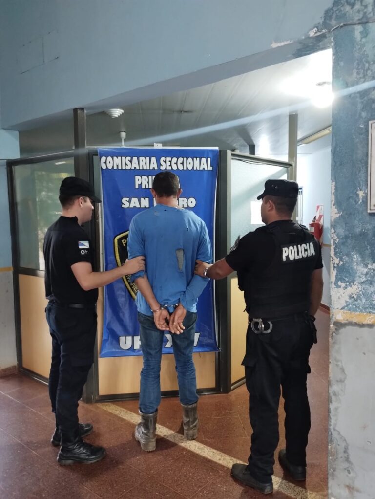 Arrestaron a un hombre que apuñaló a un policía porque no quería que recorrieran el barrio imagen-40