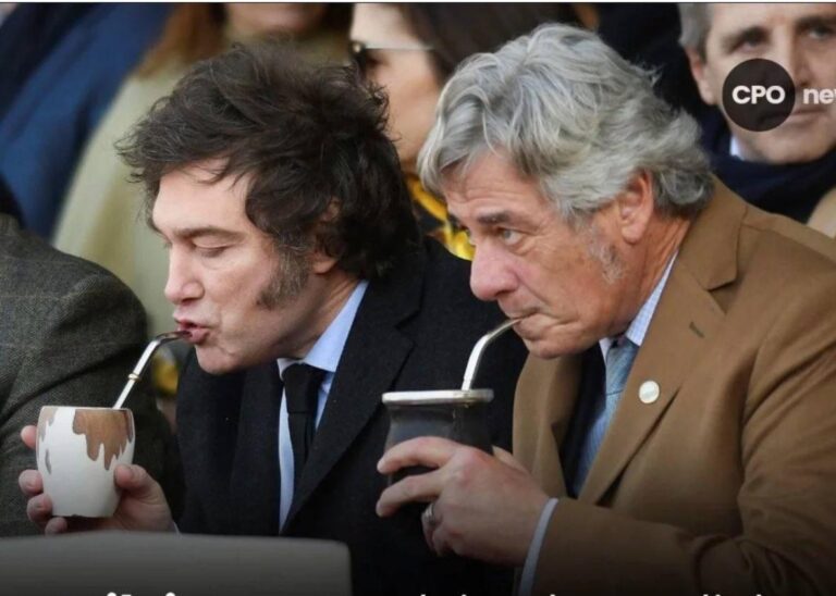 Yerba Mate: Misiones enfrenta el ninguneo de Nación con propuestas concretas imagen-23