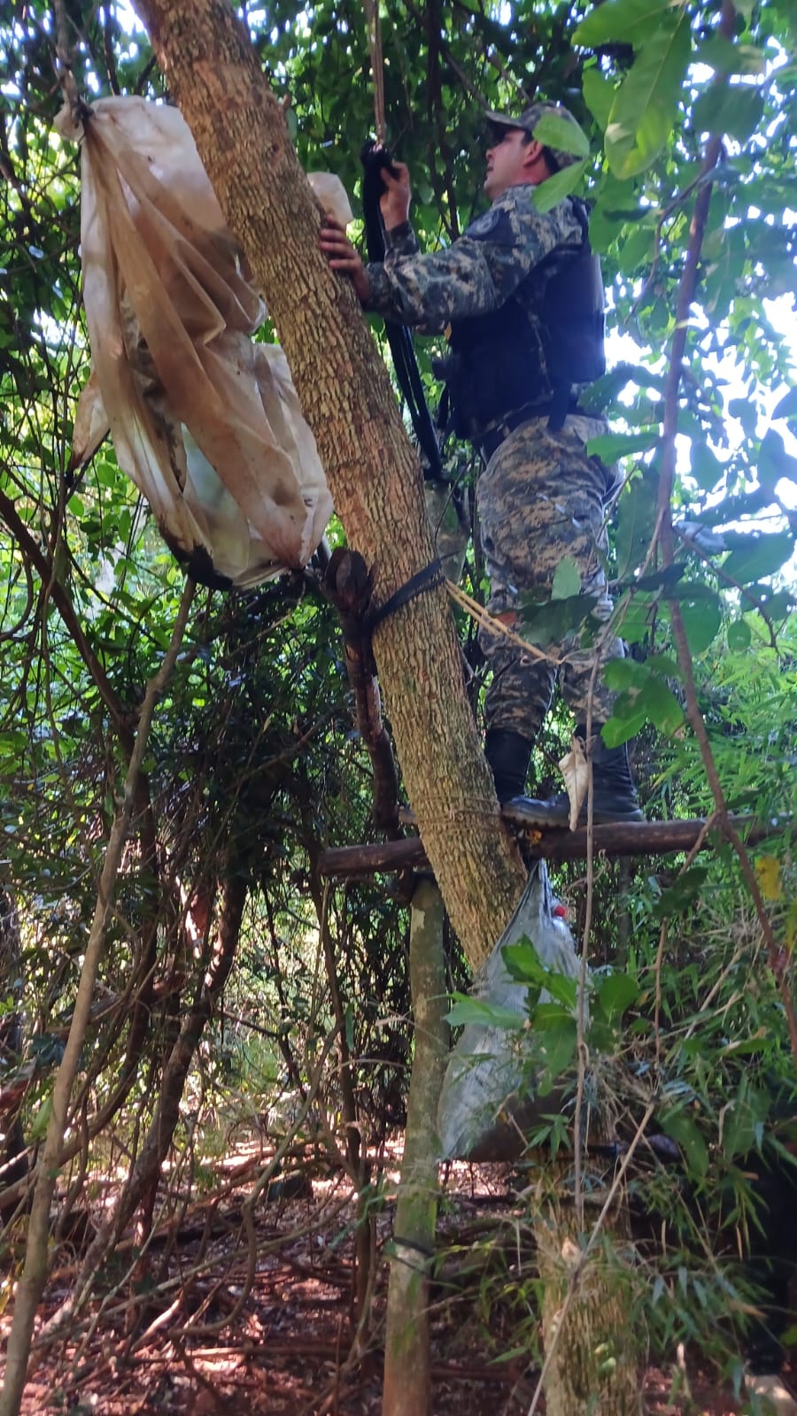 Policías ambientales desmantelaron dos campamentos ilegales de caza furtiva imagen-10