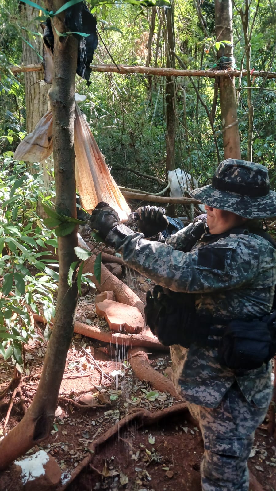 Policías ambientales desmantelaron dos campamentos ilegales de caza furtiva imagen-8