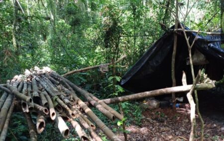 Operativo conjunto en la zona Norte para enfrentar la caza furtiva en lotes privados, Puerto Península y Parque Iguazú imagen-7