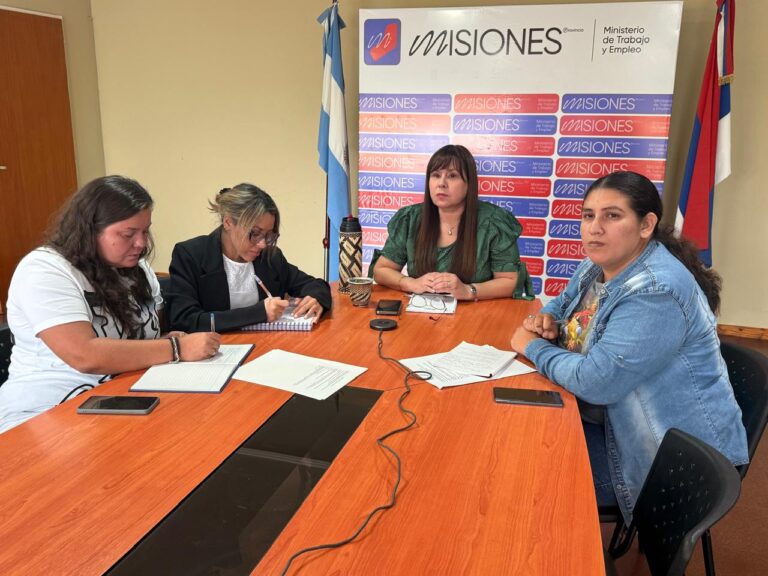 Misiones impulsa la inclusión laboral de personas con discapacidad imagen-7