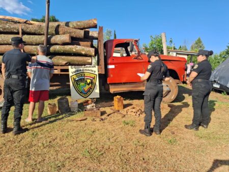 Hay tres detenidos tras el secuestro de un camión cargado con rollos de madera nativa robados en una chacra imagen-3