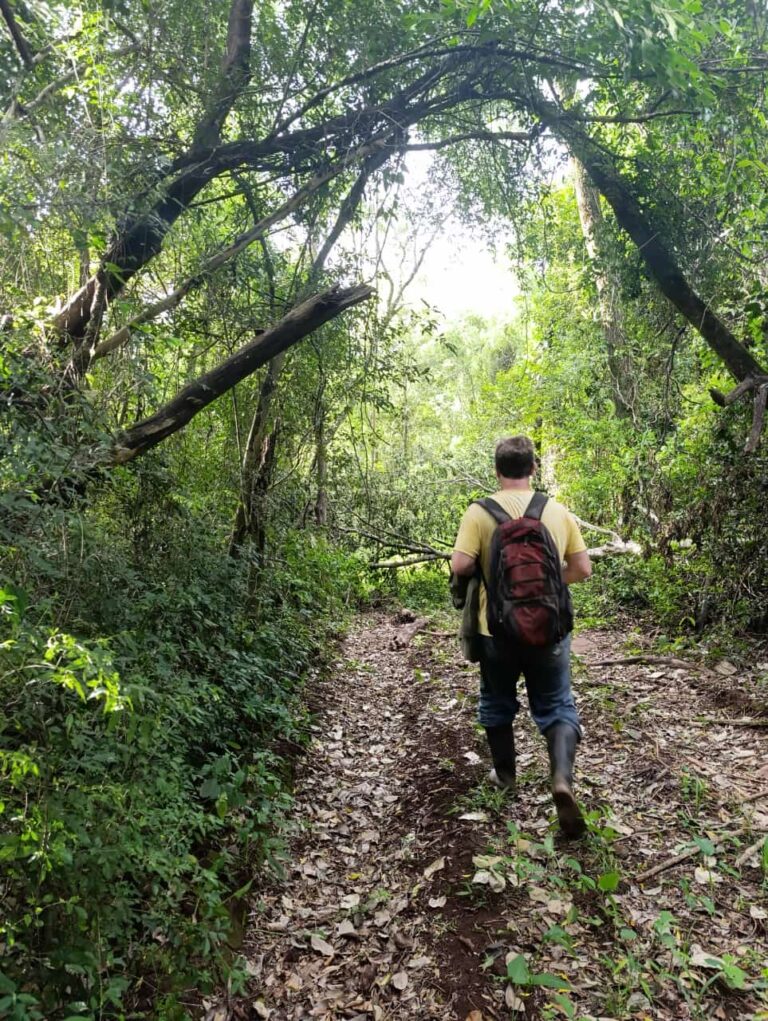 Con la idea de fomentar el desarrollo turístico y económico de Santa Ana, presentaron proyecto para crear el barrio "Terrazas Jesuíticas" imagen-2