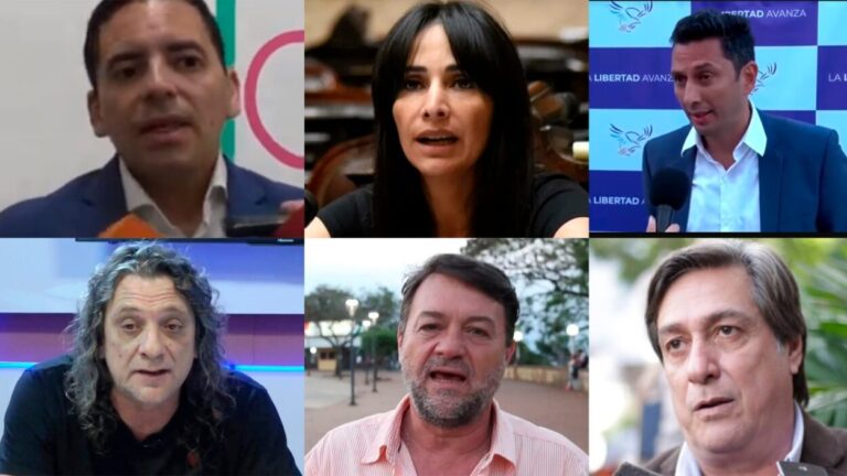 Hay una alianza entre el PRO y la UCR, con el maderero Gruber a la cabeza y ausencias llamativas Hay una alianza entre el PRO y la UCR, con el maderero Gruber a la cabeza y ausencias llamativas imagen-29