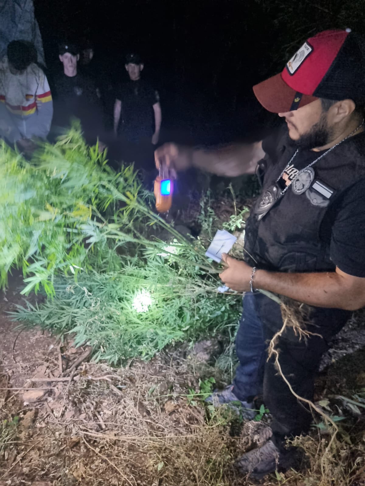 Operación Policial "Monte Verde": más de $700 millones en marihuana incautada, dos detenidos y armas secuestradas imagen-2