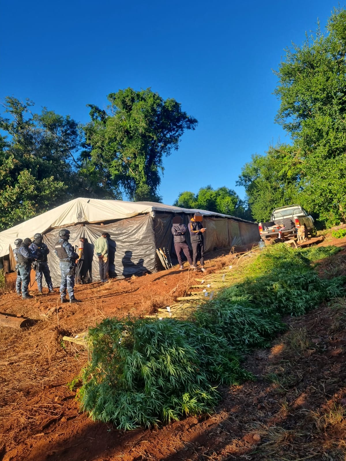 Operación Policial "Monte Verde": más de $700 millones en marihuana incautada, dos detenidos y armas secuestradas imagen-6