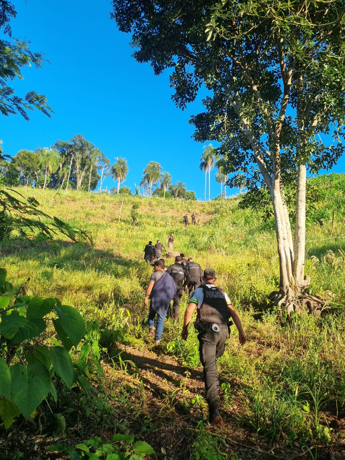 Operación Policial "Monte Verde": más de $700 millones en marihuana incautada, dos detenidos y armas secuestradas imagen-14