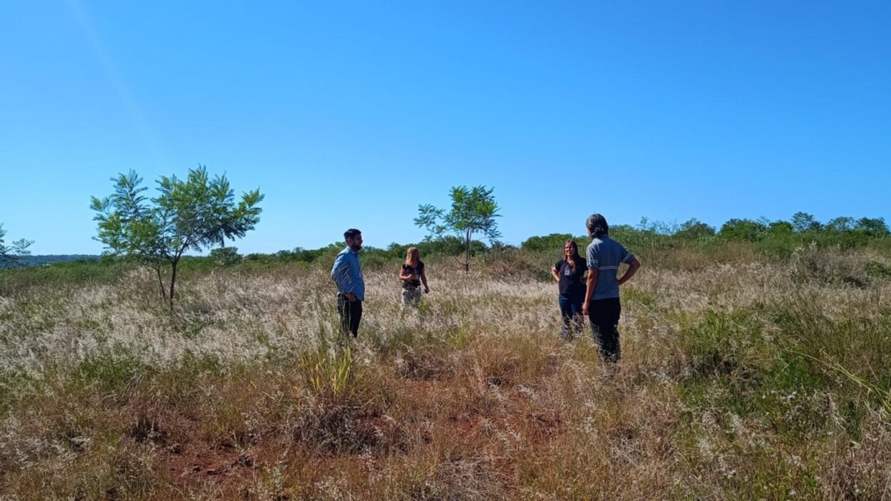 Inspeccionaron los trabajos de reforestación hechos en el aeropuerto posadeño tras la ampliación de la pista de aterrizaje imagen-2