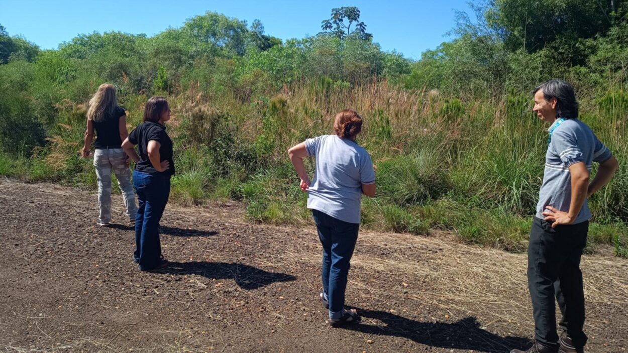 Inspeccionaron los trabajos de reforestación hechos en el aeropuerto posadeño tras la ampliación de la pista de aterrizaje imagen-19