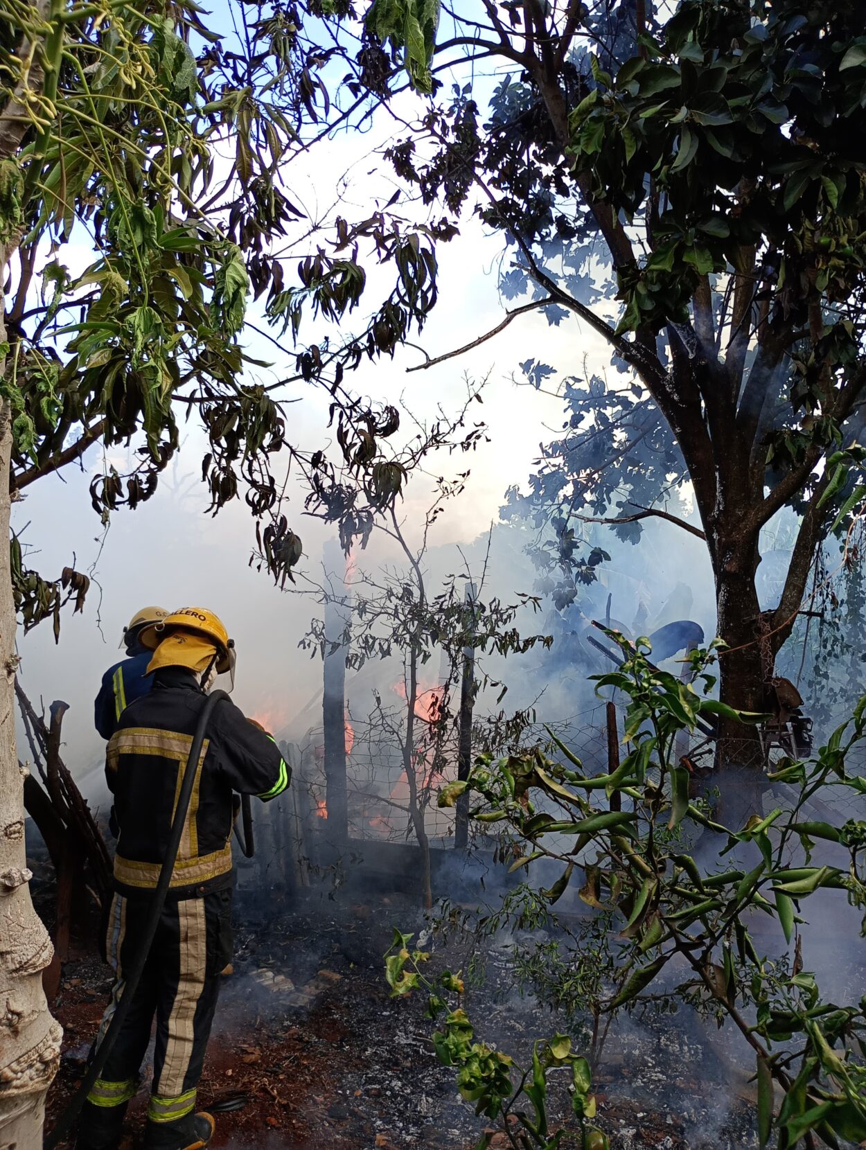 Incendios: combatieron 46 focos y labraron 13 actas por quemas ilegales imagen-2