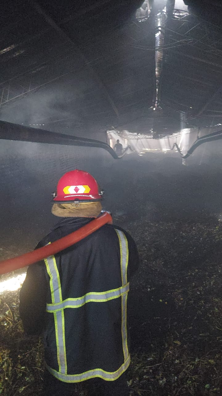 Incendios: combatieron 46 focos y labraron 13 actas por quemas ilegales imagen-16