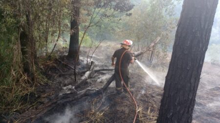 Incendios: combatieron 46 focos y labraron 13 actas por quemas ilegales imagen-6