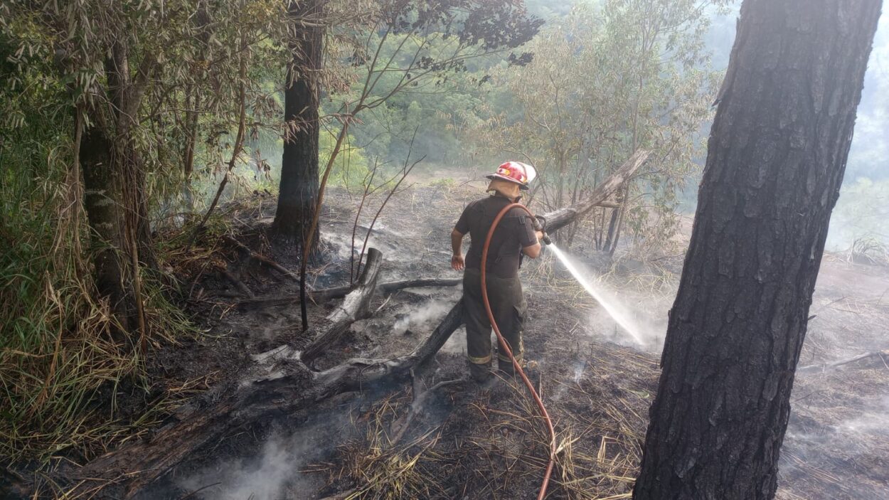 Incendios: combatieron 46 focos y labraron 13 actas por quemas ilegales imagen-13