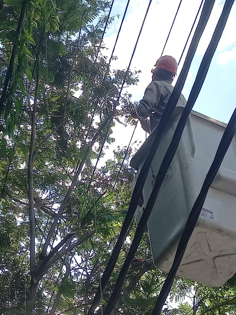 Energía de Misiones restableció el suministro eléctrico tras falla en línea de 132kV que afectó el centro y oeste de Posadas imagen-25