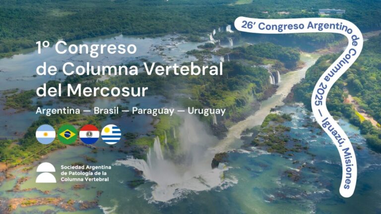 Por primera vez, el 26º Congreso Argentino de Columna se realizará en Puerto Iguazú, "es un hito para el NEA y la provincia" destacaron imagen-6