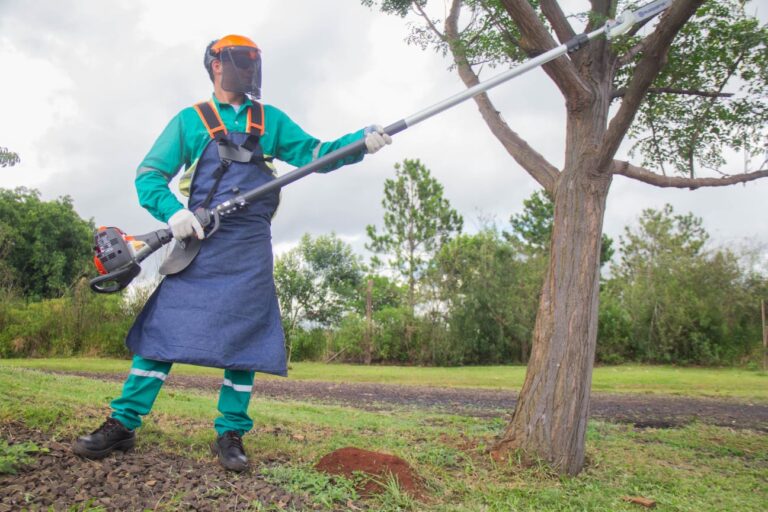 Avanza el Operativo de Poda en Posadas para el cuidado del arbolado urbano imagen-4