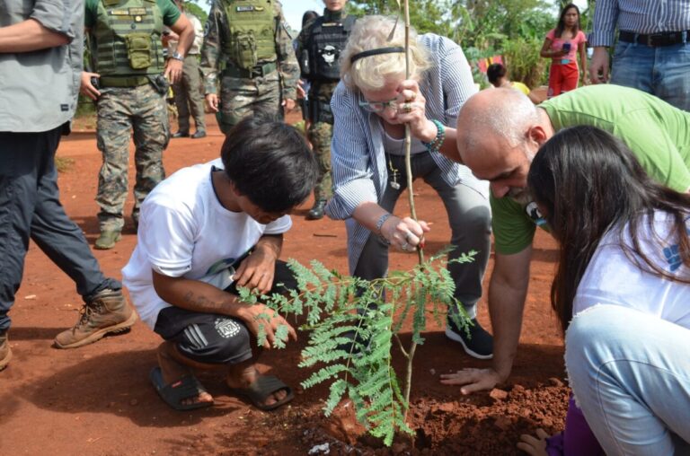 Misiones planta 10.000 árboles nativos para preservar la Selva Paranaense imagen-18
