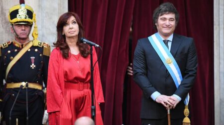 Otro “Che, Milei” de Cristina Kirchner: criticó el operativo de seguridad en el Congreso y hasta apuntó contra Alberto Fernández por el FMI imagen-4