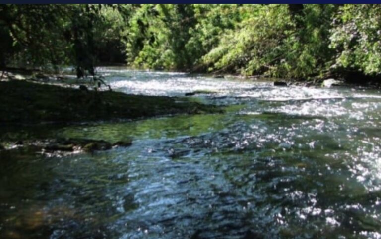 Marzo, Mes del Agua en Misiones: en ciclo de charlas destacan la importancia de una gestión eficiente del recurso hídrico imagen-9