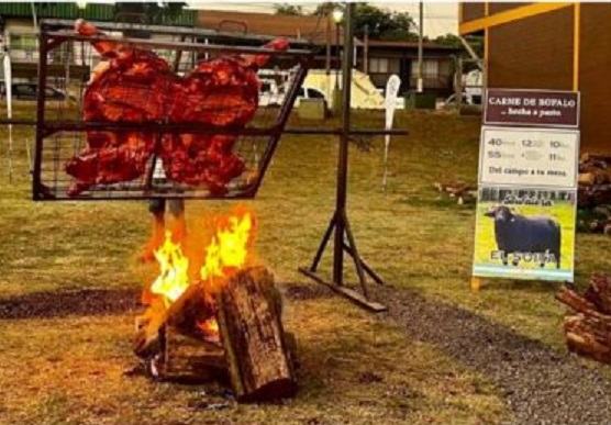 Crece la producción de búfalos en la región y destacan la calidad de la carne, "más saludable que la del vacuno" imagen-2