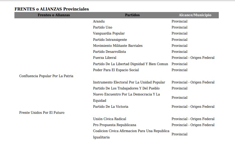 Elecciones Legislativas 2025: un total de tres Frentes y 10 partidos se inscribieron en el Tribunal Electoral Misiones imagen-8