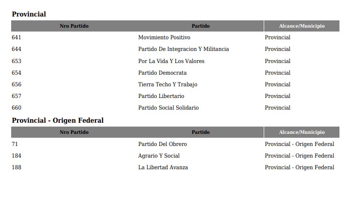 Elecciones Legislativas 2025: un total de tres Frentes y 10 partidos se inscribieron en el Tribunal Electoral Misiones imagen-2