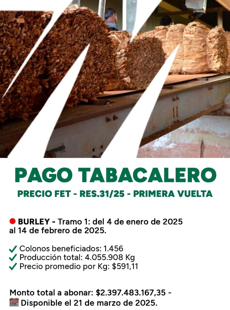 Cerca de 1.500 productores tabacaleros cobrarán este viernes 21 el primer pago del FET imagen-2