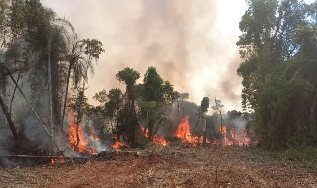 En lo que va del año, Misiones registró más de 500 incendios, 1.500 hectáreas de maleza afectadas, 60 viviendas destruidas y 25 vehículos quemados imagen-4