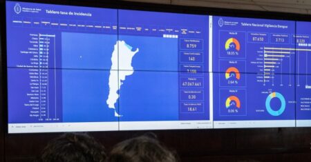 Dengue: Nación detectó índices de larvarios elevados en la región del NEA, arrojando un riesgo entomológico alto imagen-5