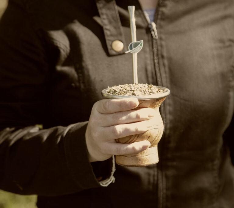 «El mate previene el Parkinson, una enfermedad en aumento en el mundo» "El mate previene el Parkinson, una enfermedad en aumento en el mundo" imagen-20