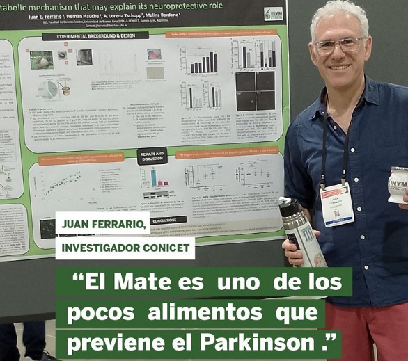 "El mate previene el Parkinson, una enfermedad en aumento en el mundo" imagen-2