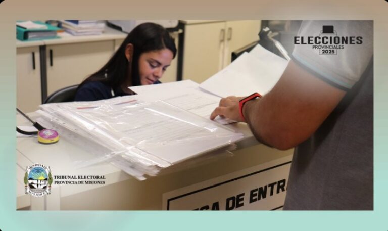 Elecciones provinciales: Está publicado el Padrón Provisorio imagen-8