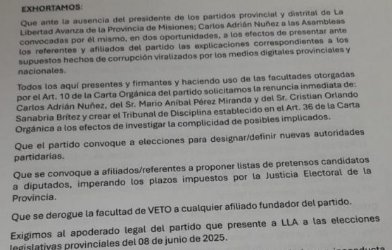 Afiliados de La Libertad Avanza piden la renuncia del presidente del partido Distrito Misiones, Adrián Nuñez imagen-12