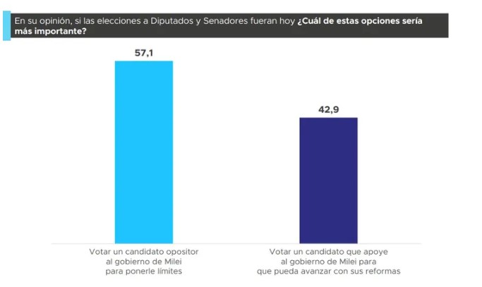 Según una encuesta, para más de la mitad de los porteños la imagen del gobierno de Javier Milei es negativa imagen-2