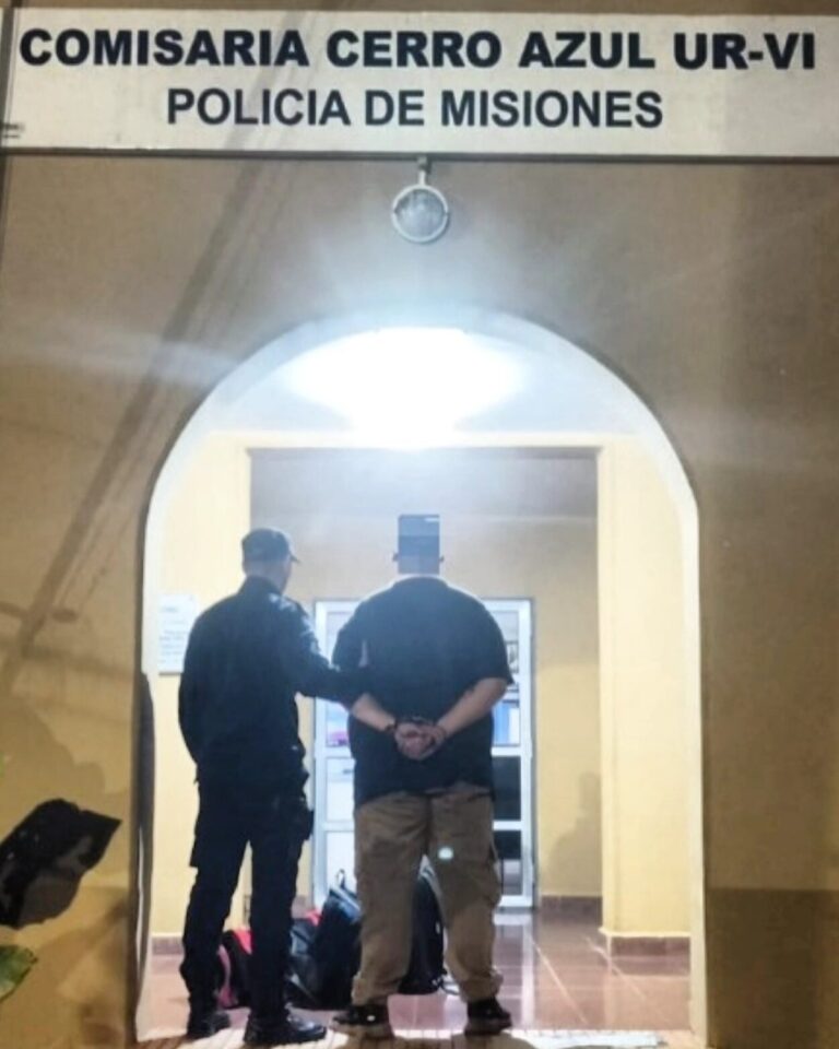 Lo invitaron a una fiesta, robó dinero al cumpleañero y fue detenido imagen-31