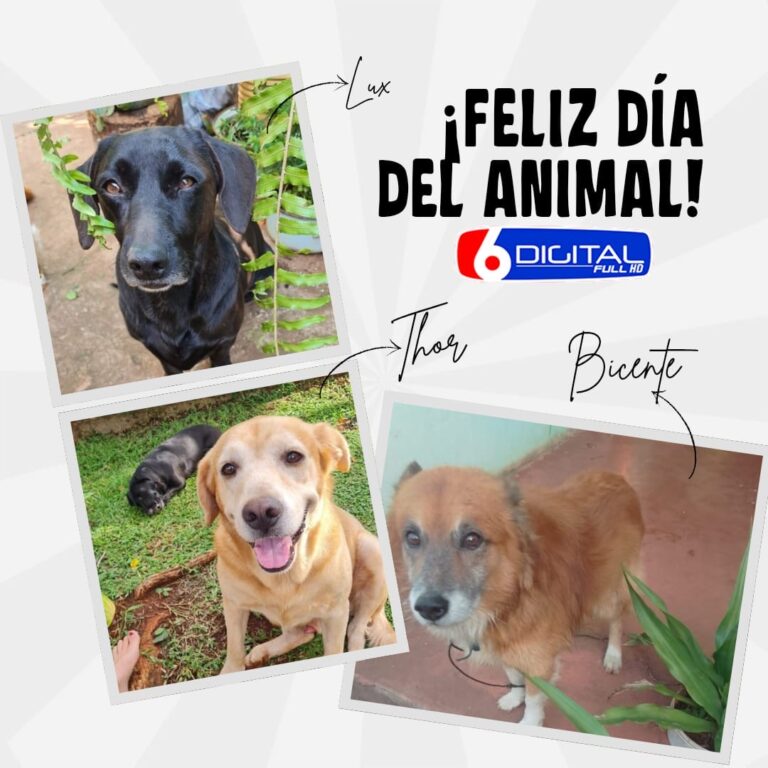 Día del Animal: por qué se celebra cada 29 de abril en Argentina y a quién se recuerda imagen-31