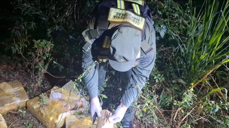 Decomisan 510 kilos de marihuana que fueron arrojados por un grupo de personas que se dieron a la fuga imagen-21