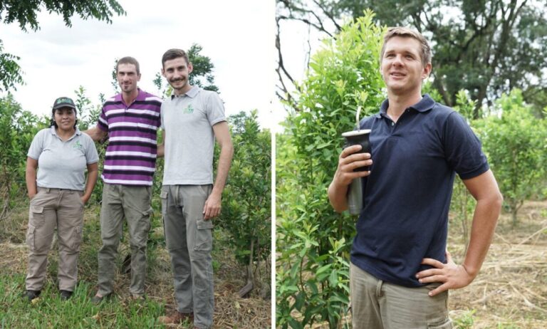 Jóvenes apuestan a la vida en la chacra con prácticas sustentables en viejos y nuevos yerbales imagen-14