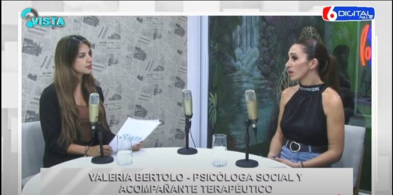 Parlamento de la Mujer: Presentaron un proyecto de ley para promover masculinidades positivas y crear un registro judicial de violencia de género imagen-20