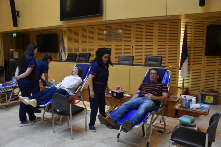 "La Legislatura tiene un fuerte compromiso con la salud pública", remarcan imagen-37