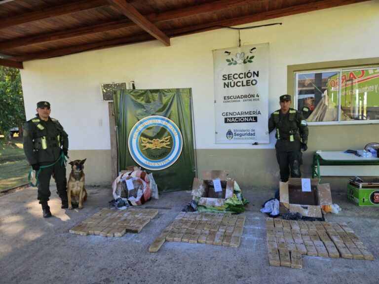 En dos procedimientos, evitan el envío de más de 112 kilos de estupefacientes imagen-14