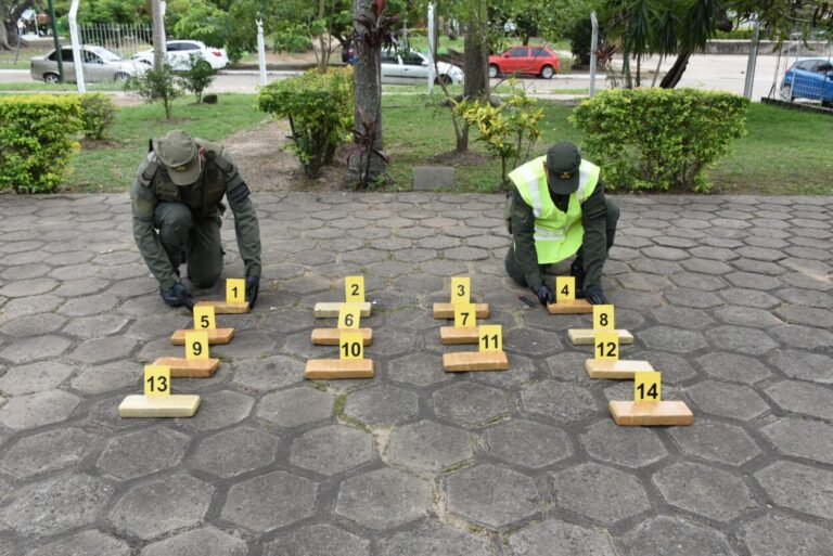 El can “Sonic” marcó una encomienda que contenía 12 kilos de droga imagen-6