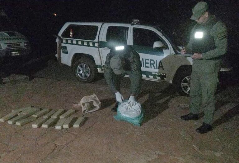 Decomisaron más de una tonelada de marihuana en dos procedimientos imagen-20