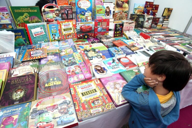 Aseguran que 6 de cada 10 chicos argentinos tienen menos de 20 libros en sus casas imagen-50